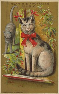 Stolze lächelnde Katze von American School