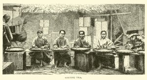 Teesortierung von American School