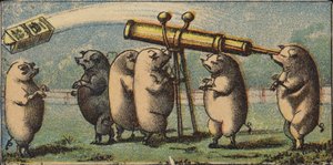 Sternguckende Schweine