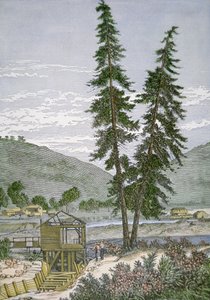 Sutters Mühle von American School