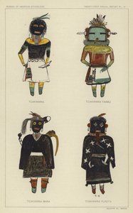 Tcakwaina, Tcakwaina Taamu, Tcakwaina Mana, Tcakwaina Yuadta von American School
