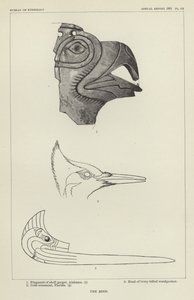 Der Vogel von American School