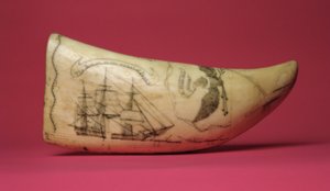 Die Susan an der Küste Japans, Scrimshaw (Zahn) von American School