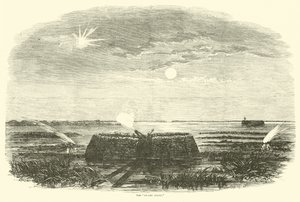 Der Sumpfengel, August 1863 von American School