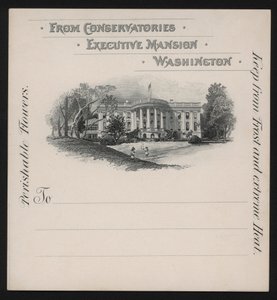 Das Weiße Haus, Washington DC, USA von American School