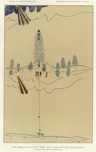 Das Stachelschwein im Baum und der Flug der Sonnenfrau von American School