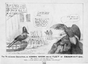 Der dreifarbige Kakadu, oder, Admiral Macaw und seine Beobachtungsflotte, 1836