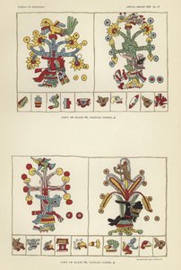 Vatikan-Codex von American School