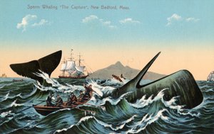 Walfänger, die einen Pottwal vor New Bedford, Massachusetts, harpunieren von American School