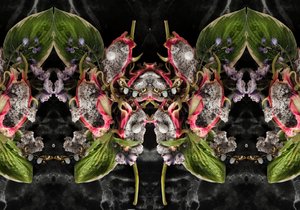 Eve_01, 2016 von Ana Carolina Tavares Mizrahi
