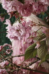 Eve_03, 2016 von Ana Carolina Tavares Mizrahi