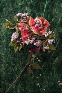 Eve_09, 2016 (Fotografie)