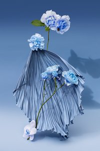 Ikebana 03, 2018 von Ana Carolina Tavares Mizrahi