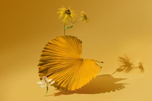 Ikebana 05, 2018