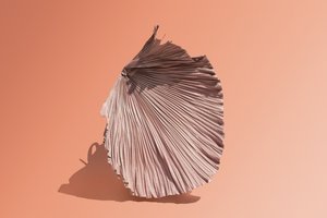 Ikebana 07, 2018 von Ana Carolina Tavares Mizrahi