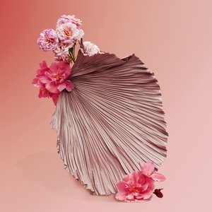 Ikebana 09, 2018 (Fotografie)
