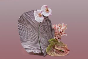 Ikebana 12, 2018 von Ana Carolina Tavares Mizrahi