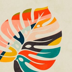 Bunte Monstera-Blätter