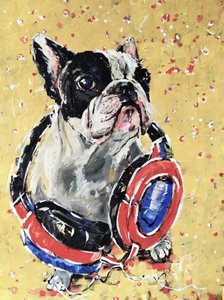 Französische Bulldogge mit Kopfhörern