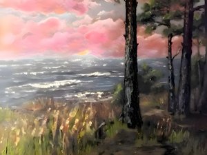 Rosa Himmel Ozean Sonnenuntergang