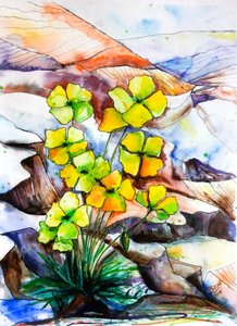 Lebendige Bergblumen von Anda Bieza