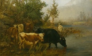Kühe am Wasser von Anders Askevold