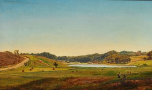 Dänische Erntelandschaft von Anders Christian Lunde