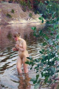 Der kalte Bach von Anders Leonard Zorn