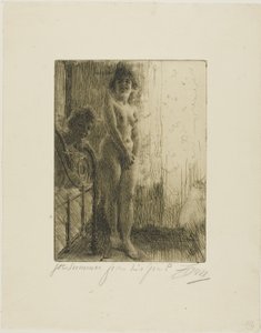 Eine dunkle Ecke von Anders Leonard Zorn