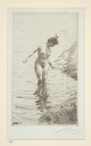 Kreise d von Anders Leonard Zorn
