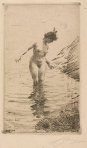 Wasserkreise II von Anders Leonard Zorn