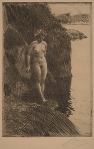 Abgrund von Anders Zorn