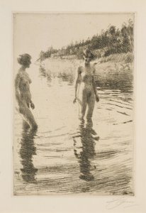 Seichtes Wasser von Anders Zorn
