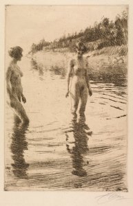 Flach von Anders Leonard Zorn