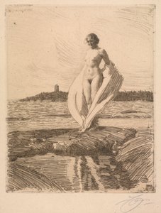 Der Schwan von Anders Leonard Zorn