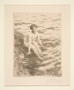 Nass von Anders Leonard Zorn