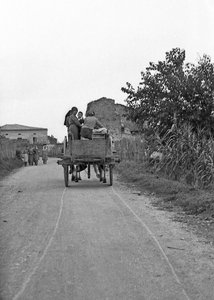 Bittere Trauben - Hin- und Rückweg zur Arbeit
