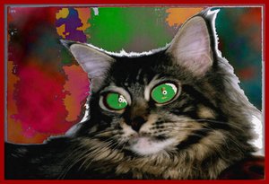 Stregattone, 2004 von Ando Gilardi