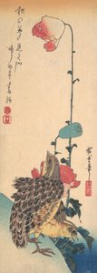 Ein Paar Wachteln und Mohnblumen, ca. 1835 von Ando Hiroshige