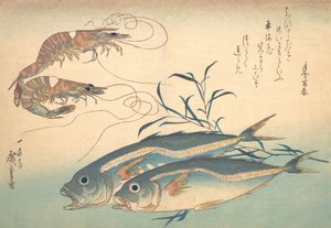 Aji-Fisch und Kuruma-Ebi, aus der Serie Uozukushi Jede Fischart