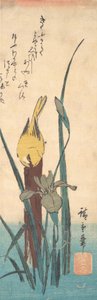 Vogel und Iris von Ando Hiroshige