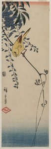 Kanarienvogel und Glyzinie, Mitte der 1840er Jahre
