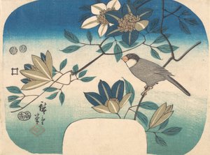 Clematis und Vogel, 1852
