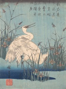 Reiher in Iris und Gräsern von Ando Hiroshige