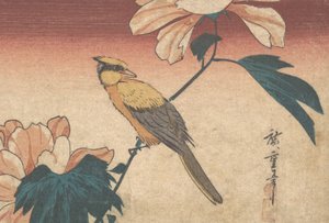 Hibiscus Mutabilis und Eichelhäher, ca. 1840 von Ando Hiroshige