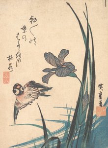 Iris und Spatz, ca. 1832