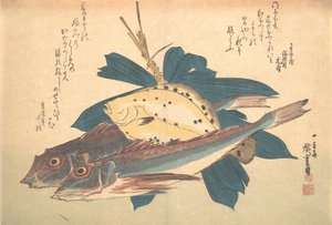 Kanagashira und Karei Fisch, aus der Serie Uozukushi Jede Fischart, 1830er Jahre von Ando Hiroshige