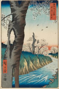 Koganei in der Provinz Musashi, entworfen 1858, veröffentlicht 1858-1859 von Ando Hiroshige