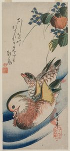 Mandarinenten und blühende Pflanzen, frühe oder mittlere 1830er Jahre