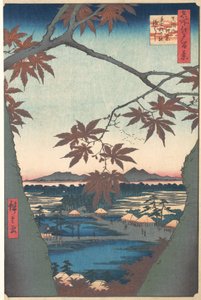 Ahornbäume in Mama, aus der Serie Hundert berühmte Ansichten von Edo, ca. 1857 von Ando Hiroshige